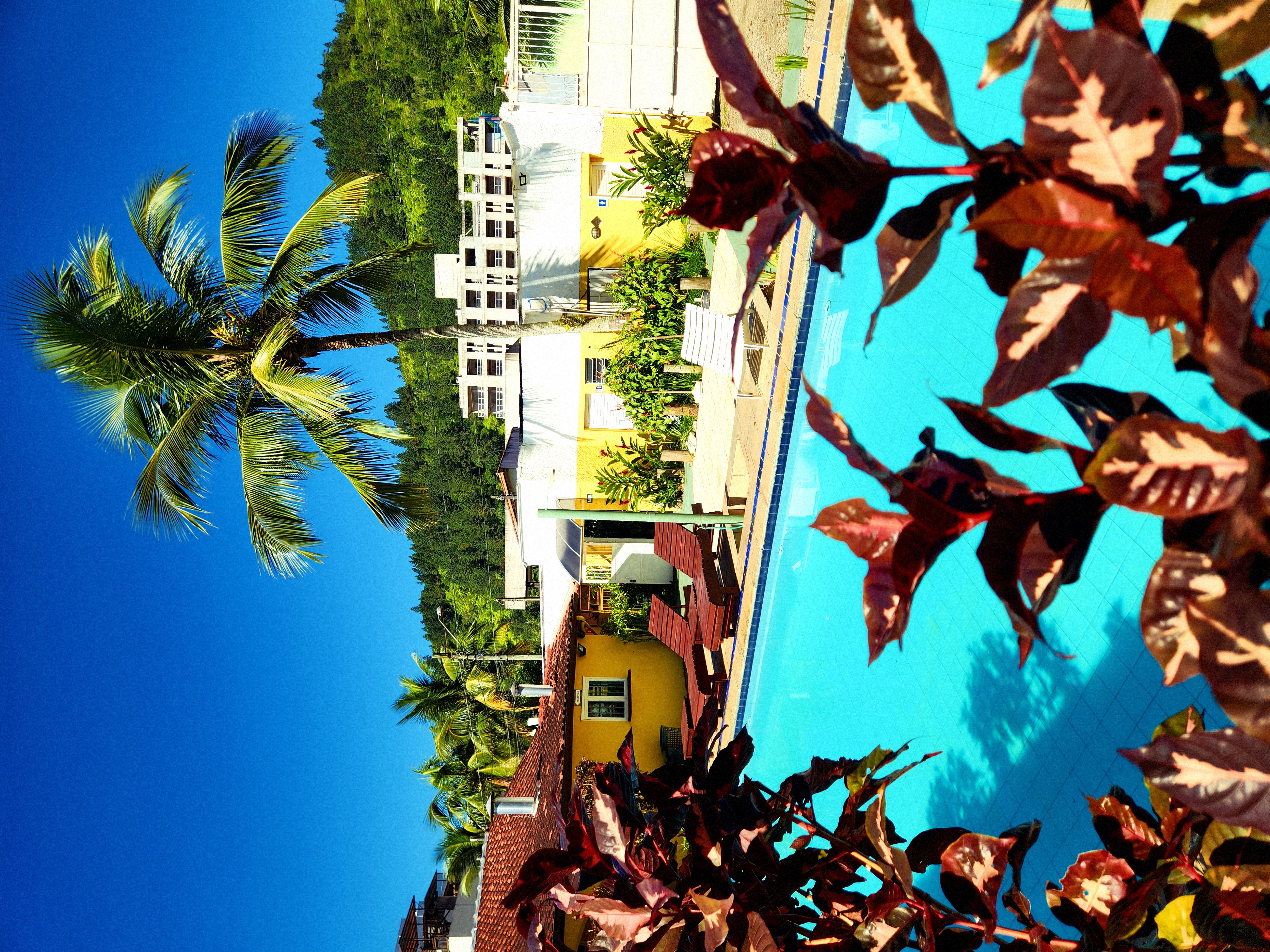 Piscina cercada pelo paisagismo da Pousada Viva Ubatuba