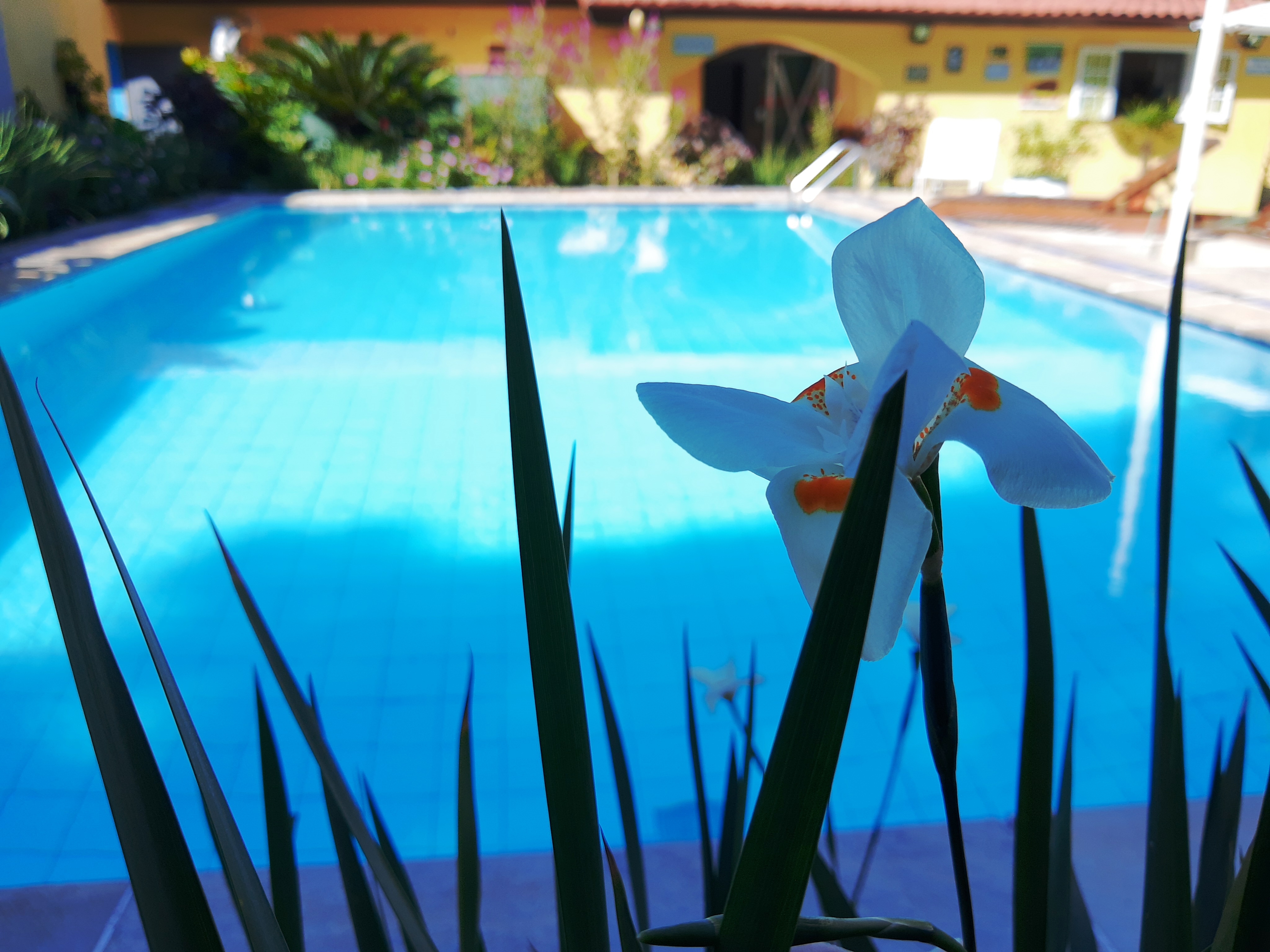 Piscina da Pousada Viva Ubatuba